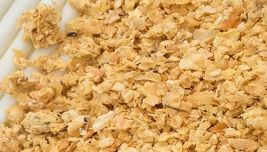 豆粕期貨行情分析，豆粕期貨的手續(xù)