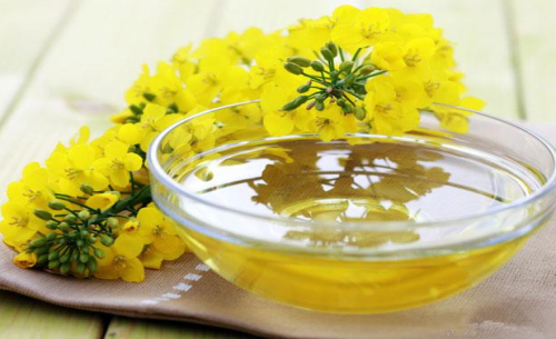 菜油期貨手續費標準，怎么降低菜油