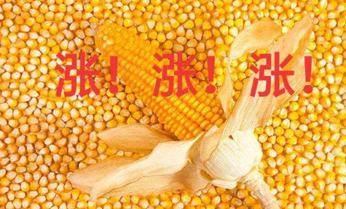 玉米期貨開戶要驗資嗎？為何不能買