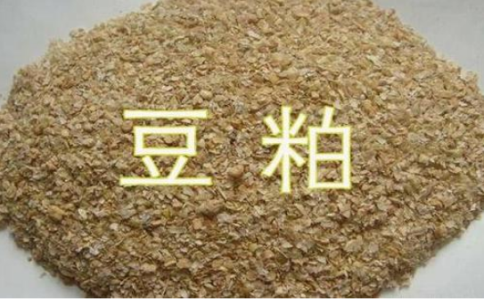 期貨豆粕和菜粕的關聯性，菜粕豆粕